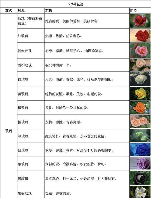 hqh的花语具体是什么？