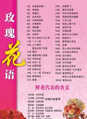顺墙爬的玫瑰是什么花语？它代表了什么含义？