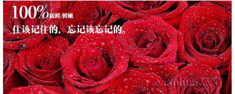 忏悔的爱的花语代表什么含义？