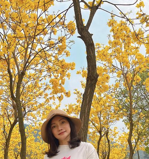 感谢李先森的花语是什么意思？它传达了怎样的感激之情？