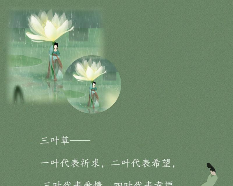 四叶荷花花语是什么？四叶荷花有何特殊含义？