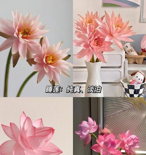 花语中颜色的花代表什么？开什么颜色的花才能表达特定情感？