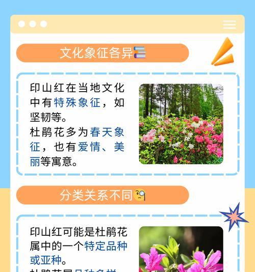 杜鹃花的双重花语代表什么？如何理解杜鹃花的双重含义？