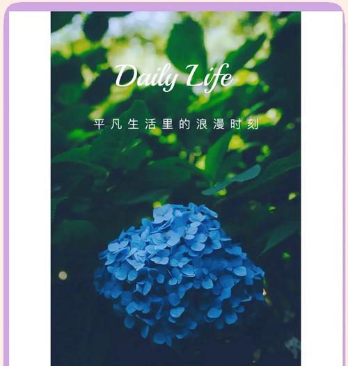 哪种花的花语象征背叛？