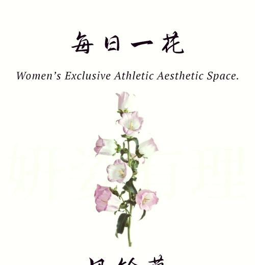 玫瑰风铃的花语是什么意思？它传递了哪些情感？