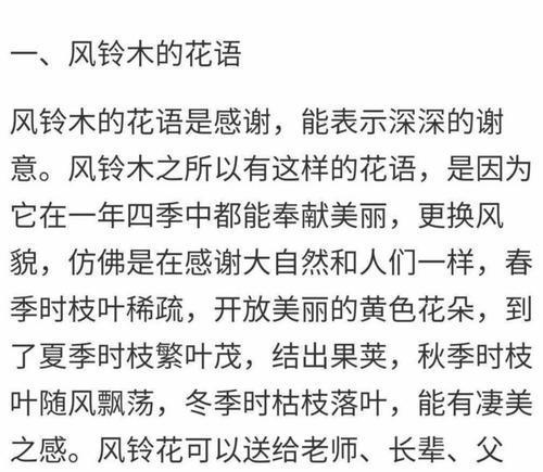 玫瑰风铃的花语是什么意思？它传递了哪些情感？