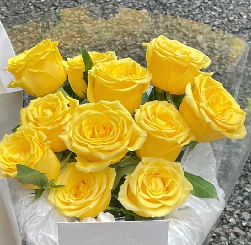 5束黄玫瑰花有什么寓意？黄玫瑰花束代表什么？