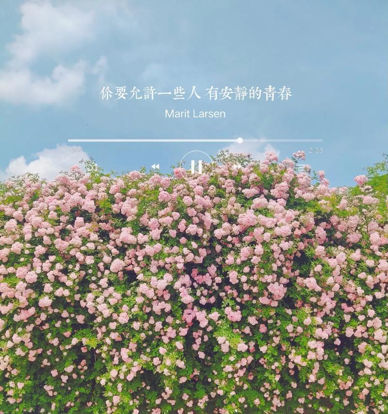 花语离情的含义是什么？花语离情的寓意是什么？