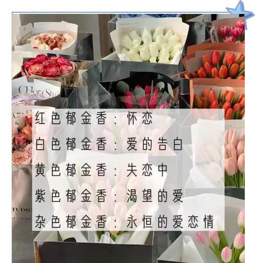 特殊花语送女生应该选择哪种花？哪种花语最能表达心意？