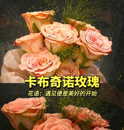 酱梅子色玫瑰的花语含义是什么？