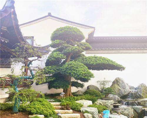 荒谬的爱花语代表什么？这种花语有何特别之处？