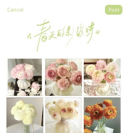 满心花语通常表达什么情感？它在花语中有什么特殊含义？