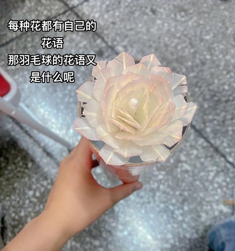 永生花和鲜花的花语区别是什么？