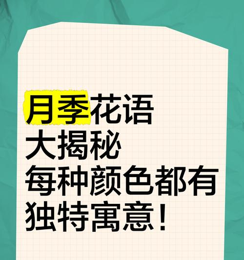 黑红月季的花语和寓意有何不同？