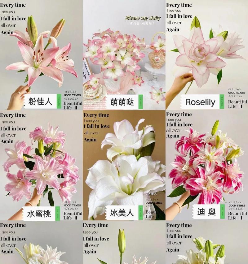 道具百合的花语含义是什么？它象征着什么？