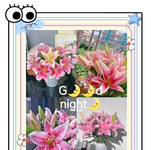 道具百合的花语含义是什么？它象征着什么？