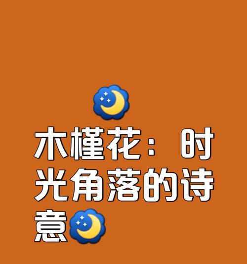 木槿花的花语是什么意思？它应该怎么读？