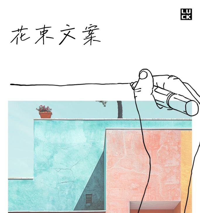 落日心动的花语有何含义？它通常用来表达什么情感？