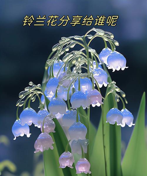 65朵花的花语代表什么意思？它象征了哪些情感？