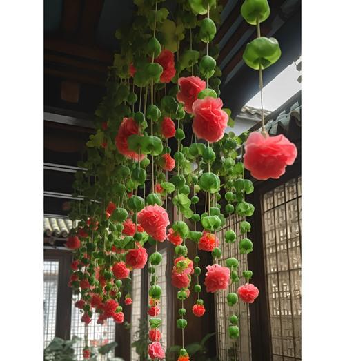 九色海棠的花语具体是什么？