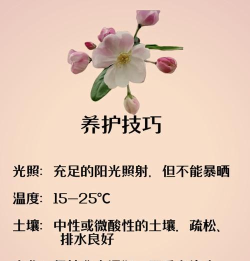 九色海棠的花语具体是什么？