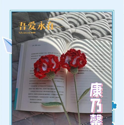 康乃馨的特征花语和寓意是什么？