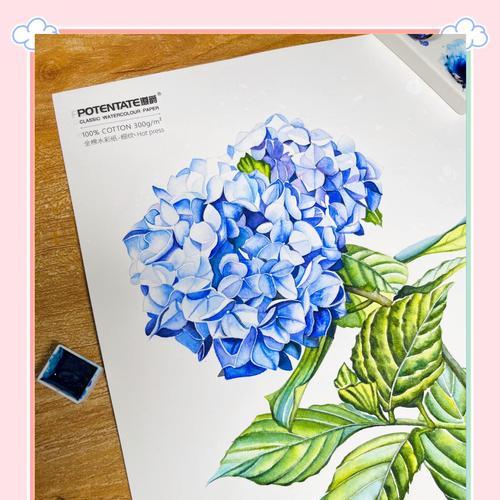 蓝色绣球花的花语有何含义？