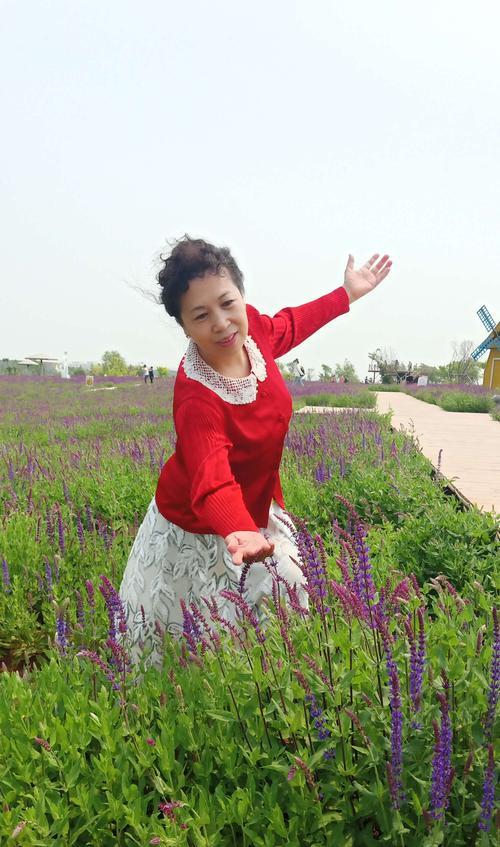 玉露花的花语是什么意思？