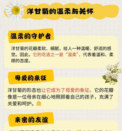 橘子的寓意和花语有何不同？