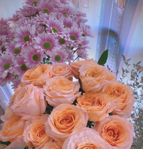 玫瑰花的最新花语是什么？玫瑰花语有何新含义？