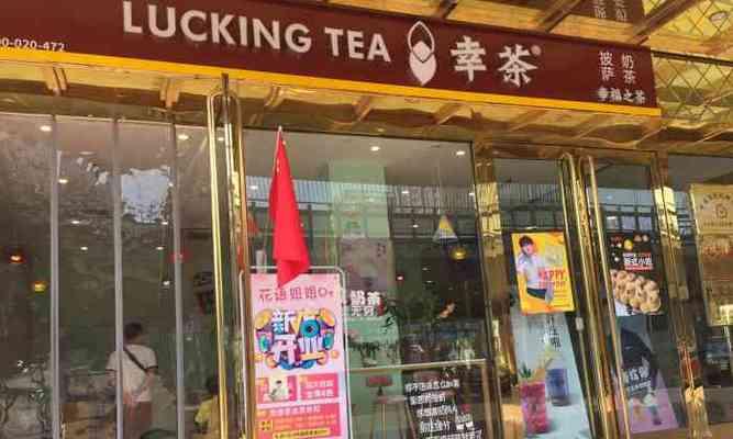吉米花的寓意和花语是什么？