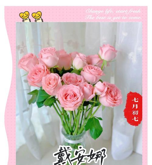 玫瑰的寓意和花语是什么？玫瑰代表了哪些情感？