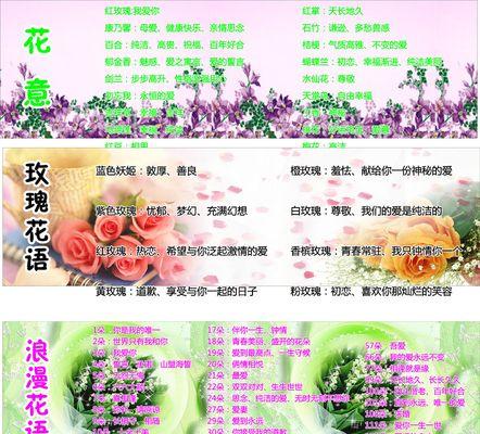 玫瑰的寓意和花语是什么？玫瑰代表了哪些情感？