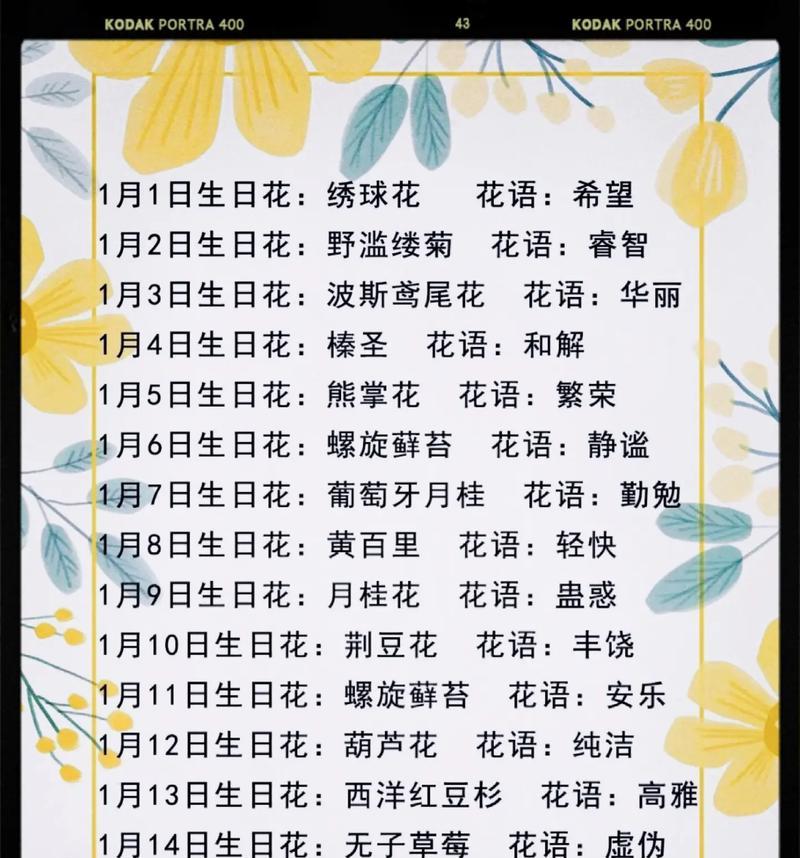 碧水繁华的花语有何寓意？其花语代表什么？