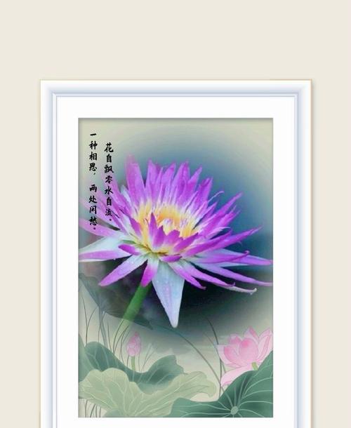 碧水繁华的花语有何寓意？其花语代表什么？