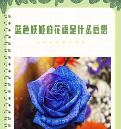 什么花代表等待？我等你的花语是什么？