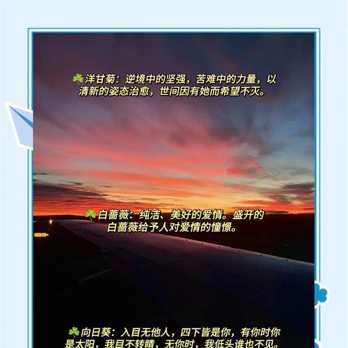 简简单单送花的花语有何深意？