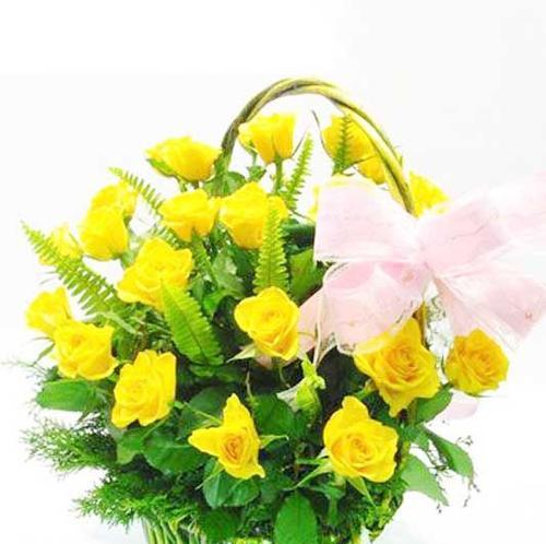 菩萨玫瑰花语有何特别之处？