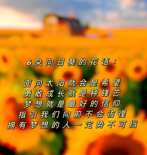 “隐秘死角”中各花语的含义是什么？