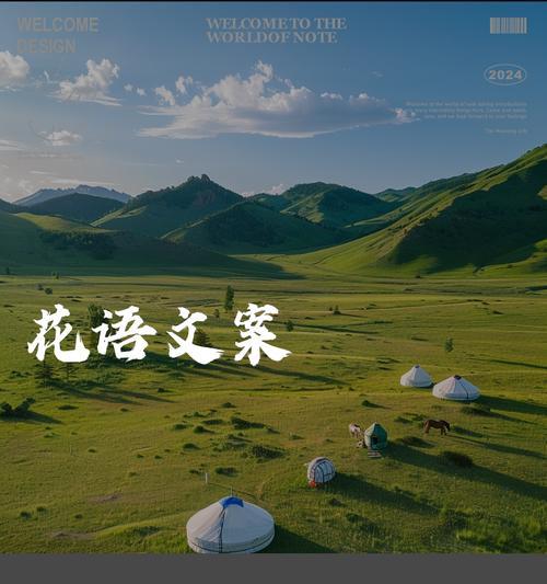 “隐秘死角”中各花语的含义是什么？