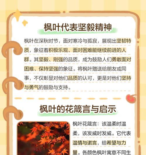 秋天的花语和寓意有哪些？