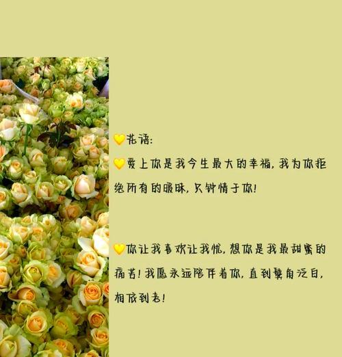 香槟玫瑰与橙芭比玫瑰花语有何不同？哪种更适合表达爱意？