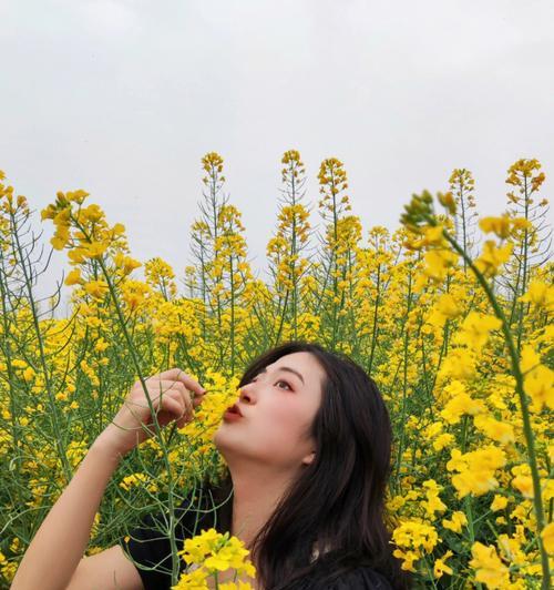 油菜花的花语是什么？福果油菜花有何特别含义？