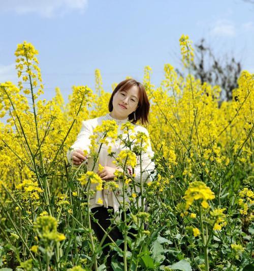 油菜花的花语是什么？福果油菜花有何特别含义？