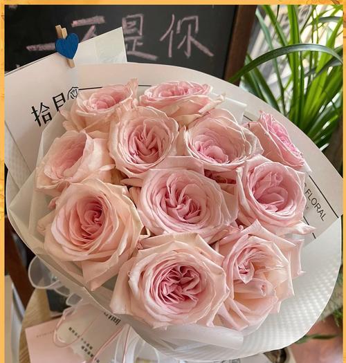 什么花语让人难以忘怀？