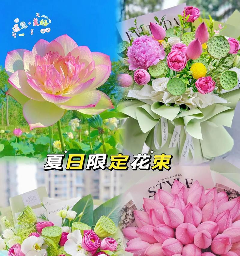 荷花作为本命花的花语是什么？