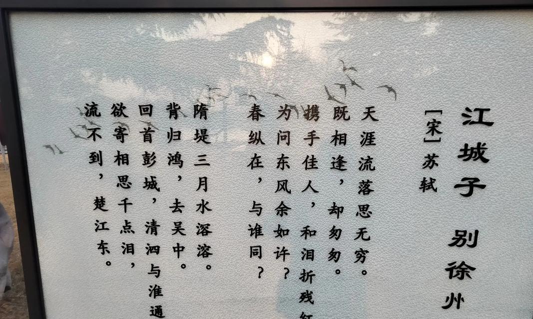 江南秋天的花语代表什么含义？