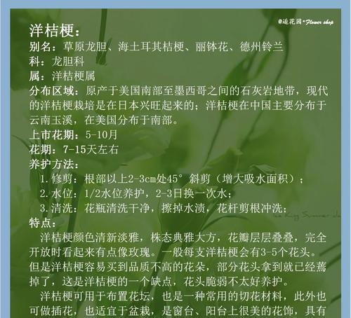 袁基的专属花语是什么意思？袁基花语有何特别之处？