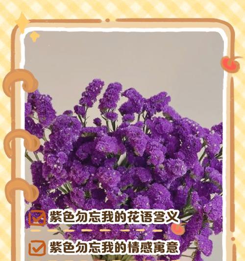 勿忘我花语是什么意思？勿忘我花代表了怎样的情感？