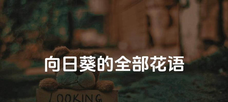 向日葵的浪漫花语是什么？它如何表达爱意？